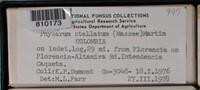 Image Associated With the Occurence